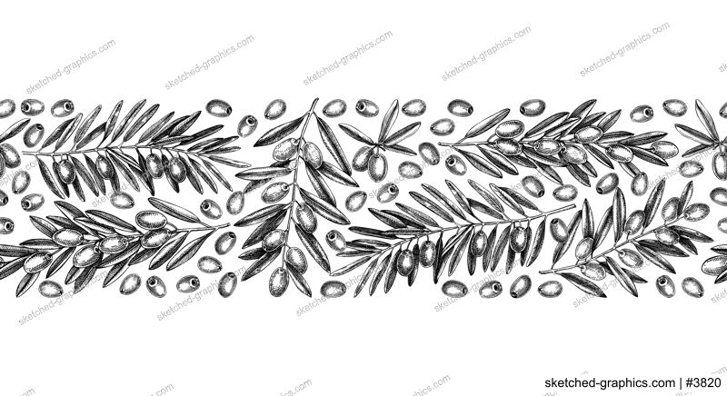 Olive branch seamless pattern. Vector banner design with leaves and fruits sketches in vintage style. Vegetable oil ingredients ribbon. Olive plant border template for print or packaging