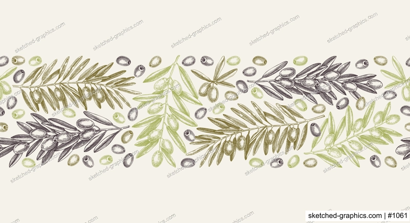 Olive branch seamless pattern in color. Vector banner design with leaves and fruits sketches in vintage style. Vegetable oil ingredients ribbon. Olive plant border template for print or packaging