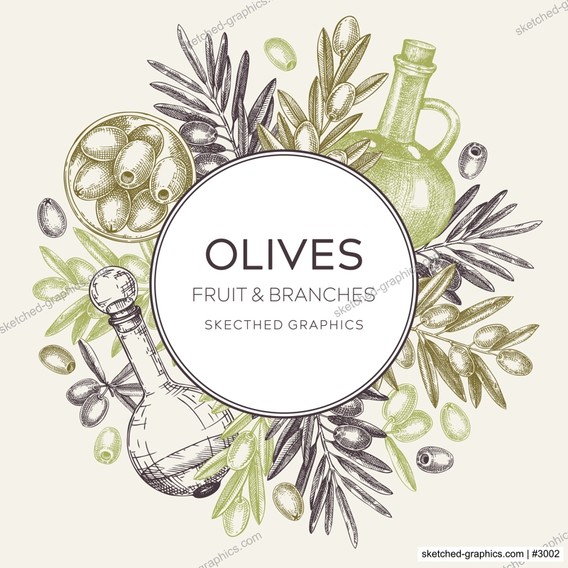 Olive oil background. Hand-drawn vector illustration. Olive tree branches, glass bottle, olives sketches. Italian food frame in vintage style. Vegetable oil design template