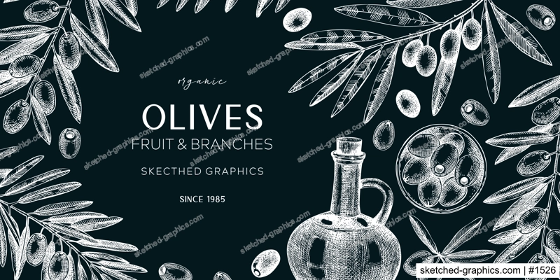 Olive oil banner design. Olives, tree branches, oil bottle sketches on chalkboard. Mediterranean food background. Hand-drawn vector illustration. NOT AI generated.