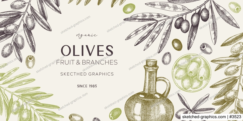 Olive oil banner design. Olives, tree branches, oil bottle sketches. Mediterranean food background in retro style. Hand-drawn vector illustration. NOT AI generated.