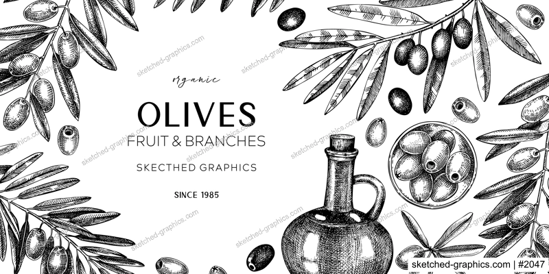 Olive oil banner design. Olives, tree branches, oil bottle sketches. Mediterranean food background in vintage style. Hand-drawn vector illustration. NOT AI generated.