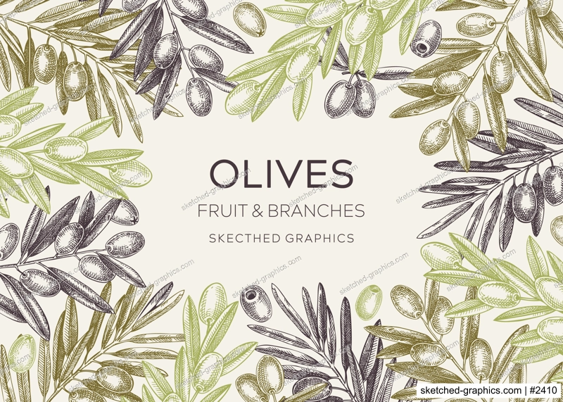Sketched olive tree branches frame design. Hand drawn fruit and leaves background in engraved style. Vegetable oil ingredients banner template for print. Olive plant sketches in vintage colors