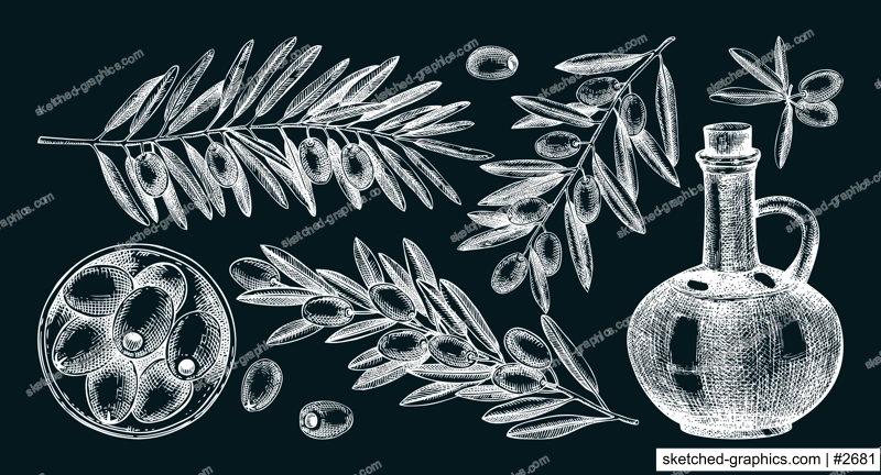 Olive tree branches on chalkboard. Fruit in a bowl, glass bottle, olives sketches. Hand-drawn vector illustration. Oil packaging design elements