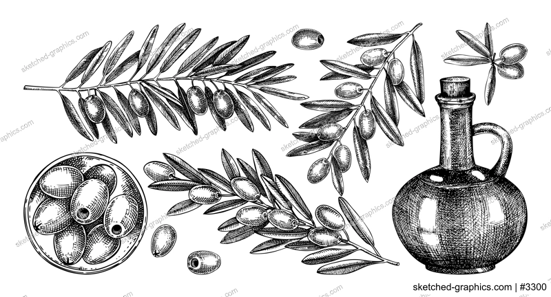 Olive tree branches collection. Fruit in a bowl, glass bottle, olives sketches. Hand-drawn vector illustration. Oil packaging design elements