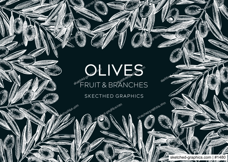 Olive tree branches vintage frame design. Hand drawn fruit and leaves background on chalkboard. Vegetable oil ingredients banner template for print. Olive plant in sketch style