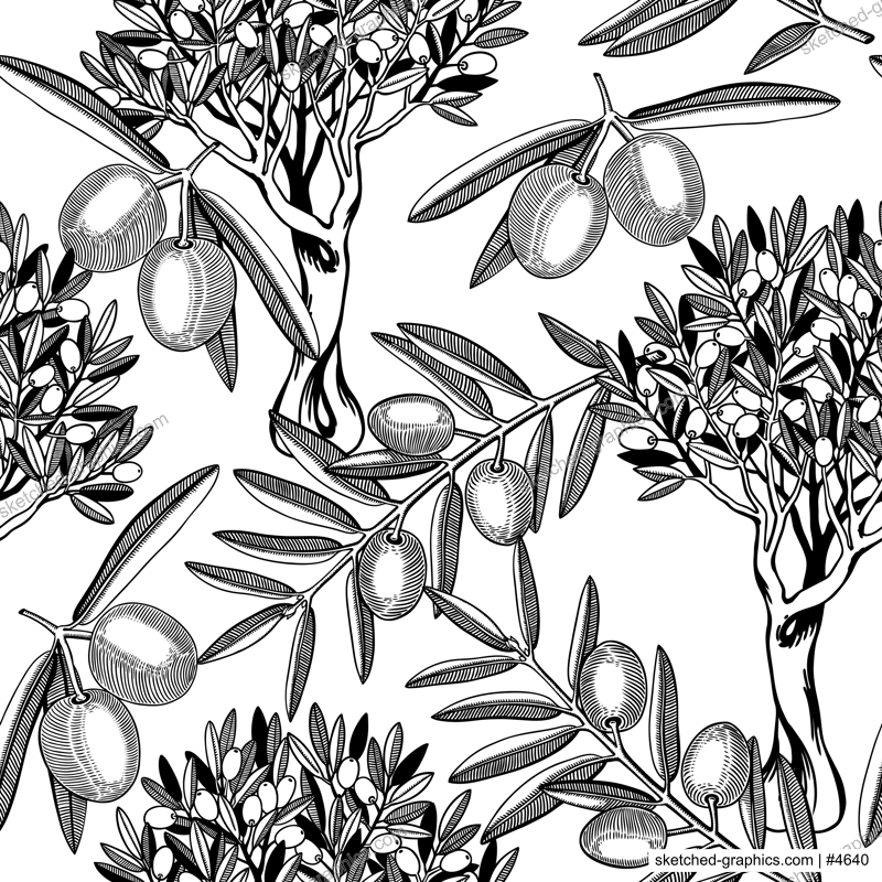 Olive tree vector background. Black contoured twigs with leaves and olive fruit. Natural olive oil ingredient seamless pattern. Healthy food plant design for print or packaging