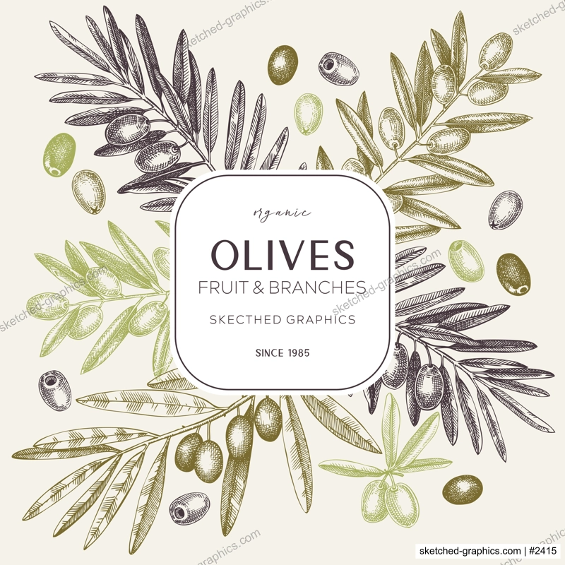 Olives wreath design. Olive tree branches sketches. Mediterranean food menu template. Hand-drawn vector illustration. NOT AI generated.