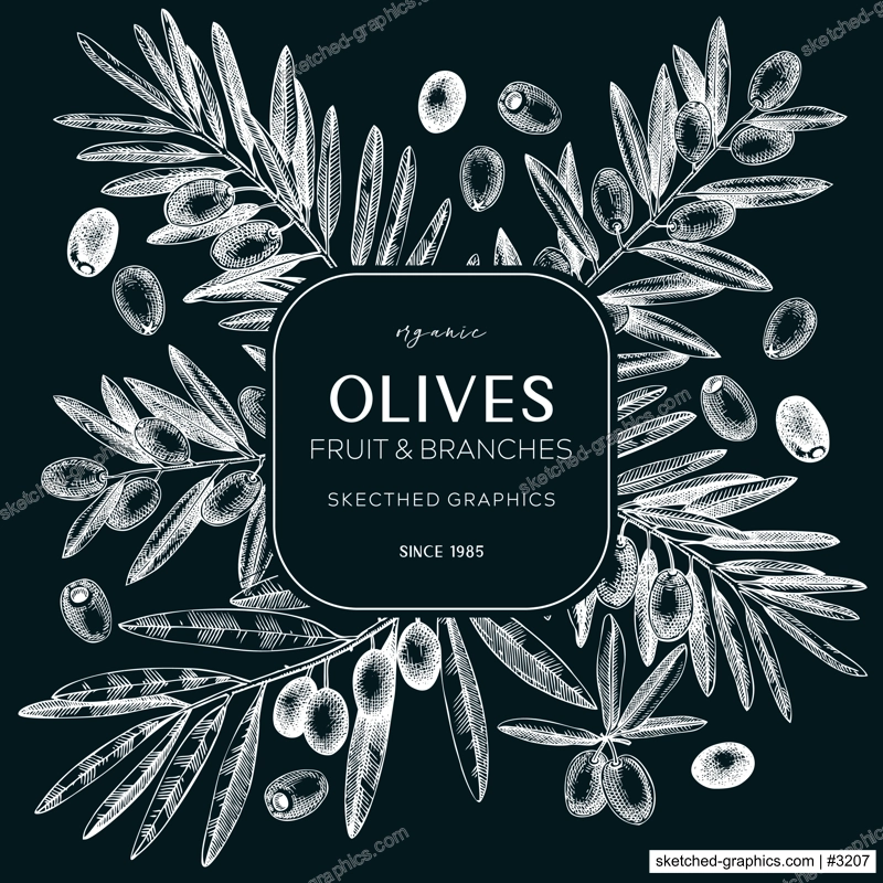 Olives wreath design. Olive tree branches sketches. Mediterranean food menu template on chalkboard. Hand-drawn vector illustration. NOT AI generated.