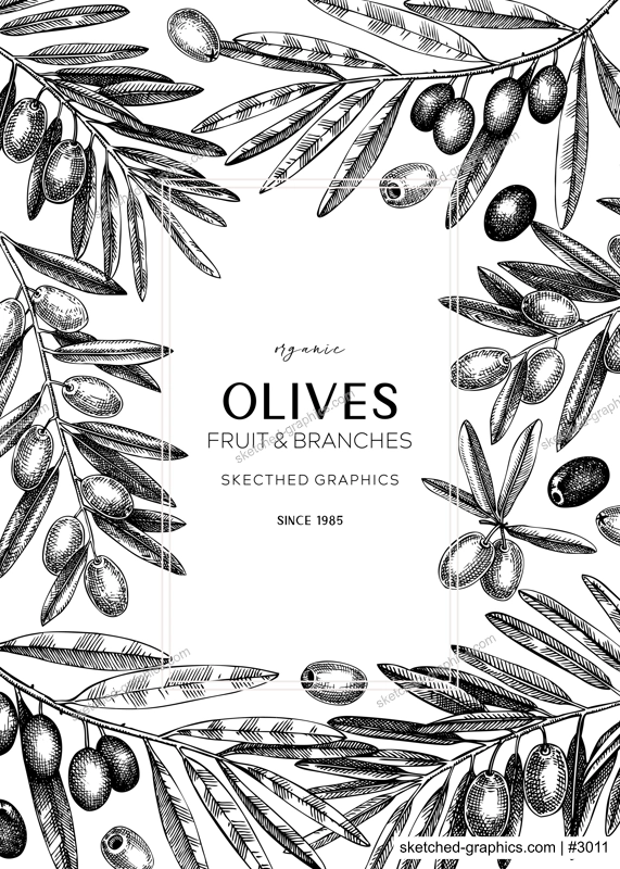 Olives background. Olive tree branches sketches. Mediterranean food menu design in pastel colors. Hand-drawn vector illustration. NOT AI generated.