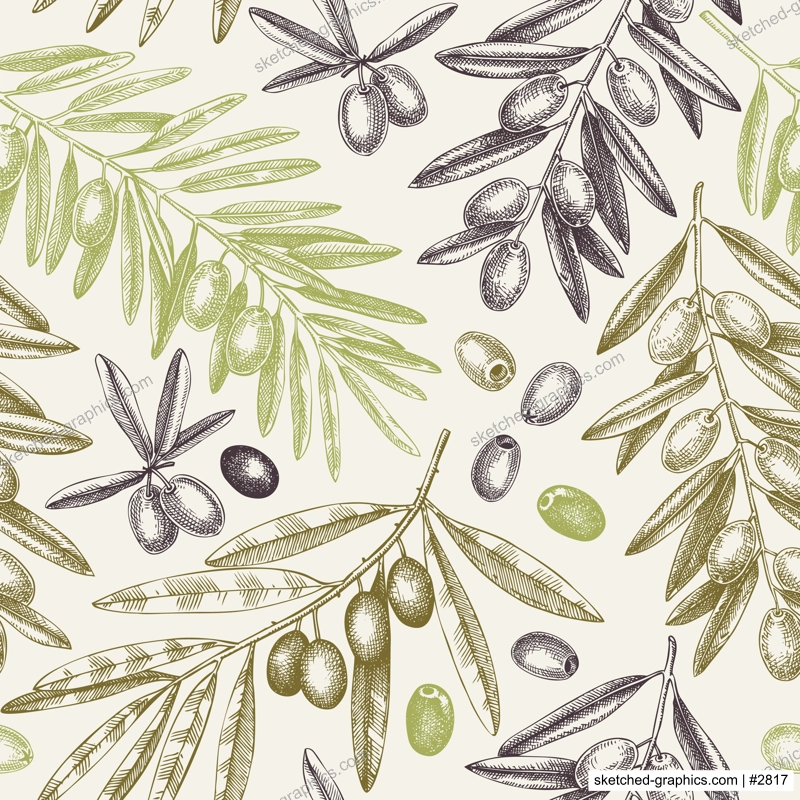 Olives seamless pattern. Olive branches background in retro style. Hand-drawn vector illustration. NOT AI generated.