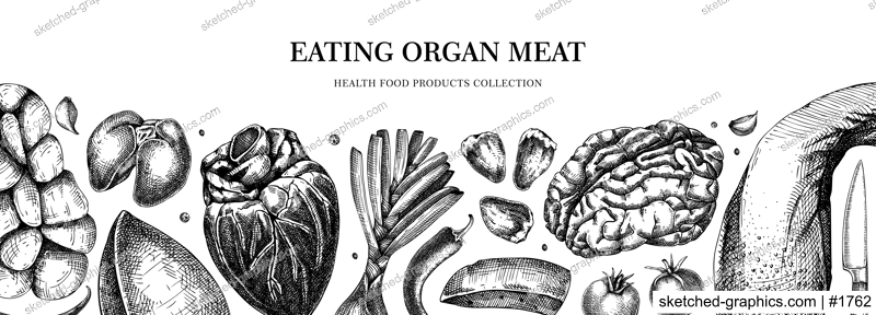 Organ meat banner. Liver, heart, kindle, tongue, offal design. Internal organs, ingredients, meat product, healthy food sketch. Engraved vector food illustration isolated on white background