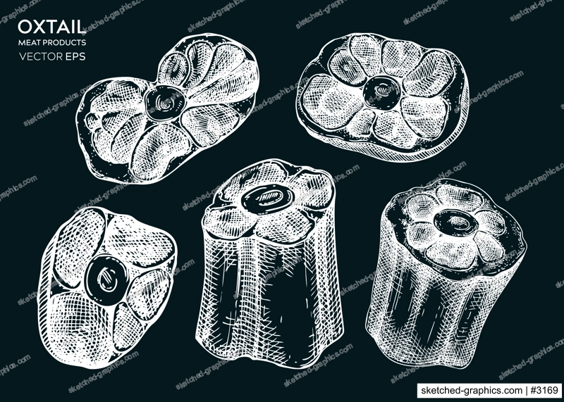 Vector raw oxtail with meat sketches collection. Hand drawn tail of cattle isolated chalkboard. Engraved food illustration for butchery, recipes, menu in vintage style. 