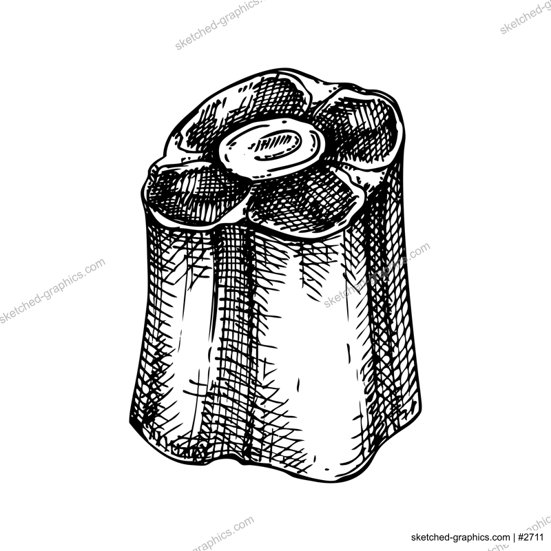 Vector raw oxtail with meat sketch. Hand drawn tail of cattle isolated on white background. Engraved food illustration for butchery, recipes, menu in vintage style. 