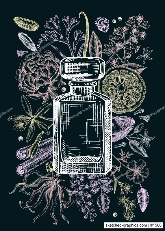 Perfume brand flyer design on chalkboard. Aromatic plants and flowers hand drawn vector illustration. Perfumery and cosmetics gift card, floral invitation, book cover, poster. NOT AI generated
