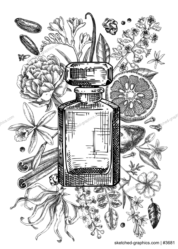 Minimalist perfume brand flyer design. Aromatic plants and flowers hand drawn vector illustration. Perfumery and cosmetics gift card, floral invitation, book cover, poster. NOT AI generated