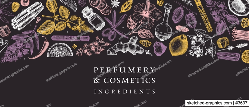Perfumery and cosmetics ingredients banner. Flower, fruit, spice, herb sketches. Hand drawn vector illustration. Cosmetics design template. Aromatic plants background