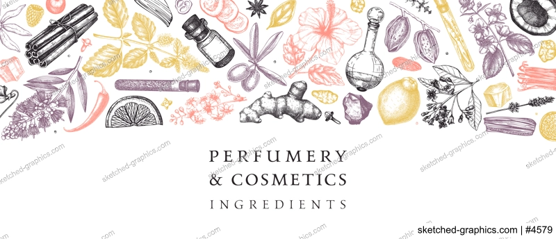 Perfumery and cosmetics ingredients banner. Flower, fruit, spice, herb sketches. Hand drawn vector illustration. Cosmetics design template. Aromatic plants background