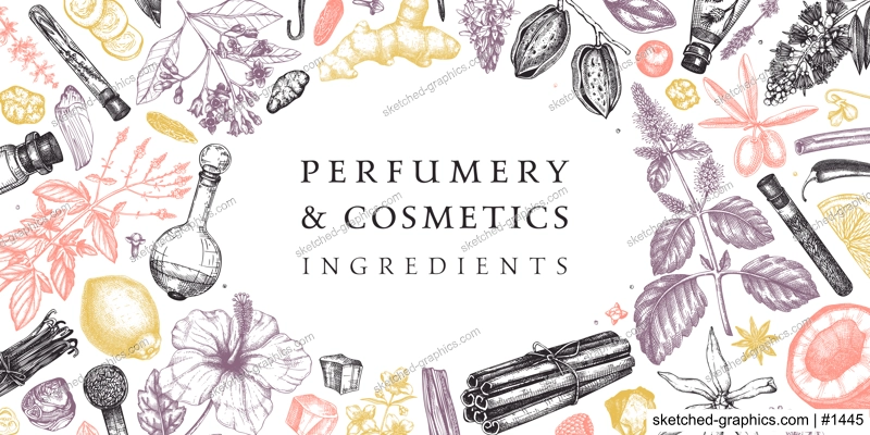 Perfumery and cosmetics ingredients banner. Flower, fruit, spice, herb sketches. Hand drawn vector illustration. Cosmetics design template. Aromatic plants background