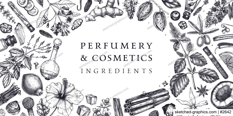 Perfumery and cosmetics ingredients banner. Flower, fruit, spice, herb sketches. Hand drawn vector illustration. Cosmetics design template. Aromatic plants background