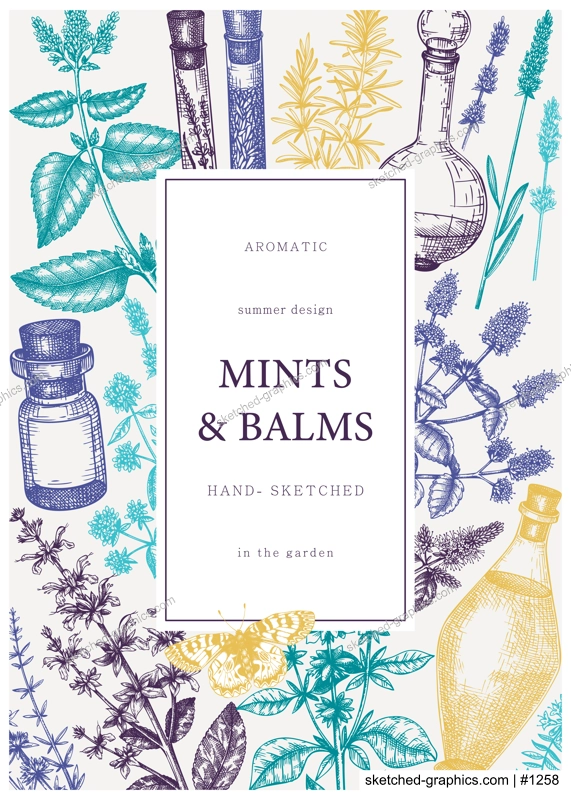 Hand-drawn perfumery and cosmetics ingredients banner. Decorative background with vintage mints and balms herbs for perfumery. Organic cosmetics design template. Aromatic plants flyer