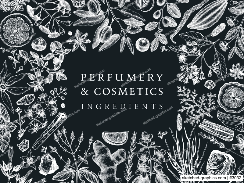 Hand drawn perfumery and cosmetics ingredients banner. Decorative background with vintage aromatic plants, fruits, spices, herbs for perfumery. Cosmetics design template. Aromatic plants on chalkboard