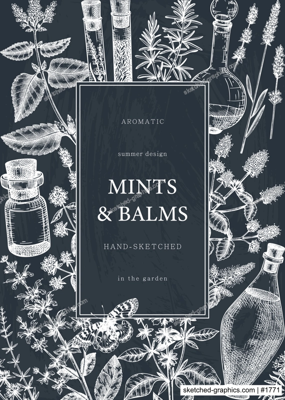 Hand-drawn perfumery and cosmetics ingredients card on chalkboard. Decorative background with vintage mints and balms herbs for perfumery. Organic cosmetics design template. Aromatic plants flyer