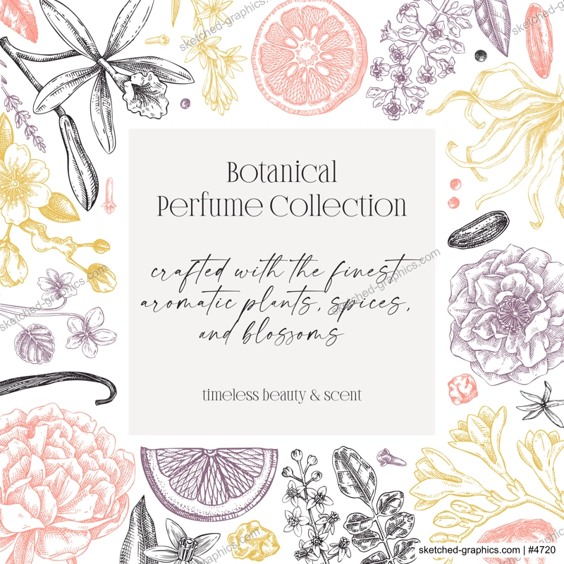 Perfumery ingredients frame design. Aromatic plants and flowers hand drawn vector illustration. Gift card, floral invitation, book cover, flyer template. NOT AI generated