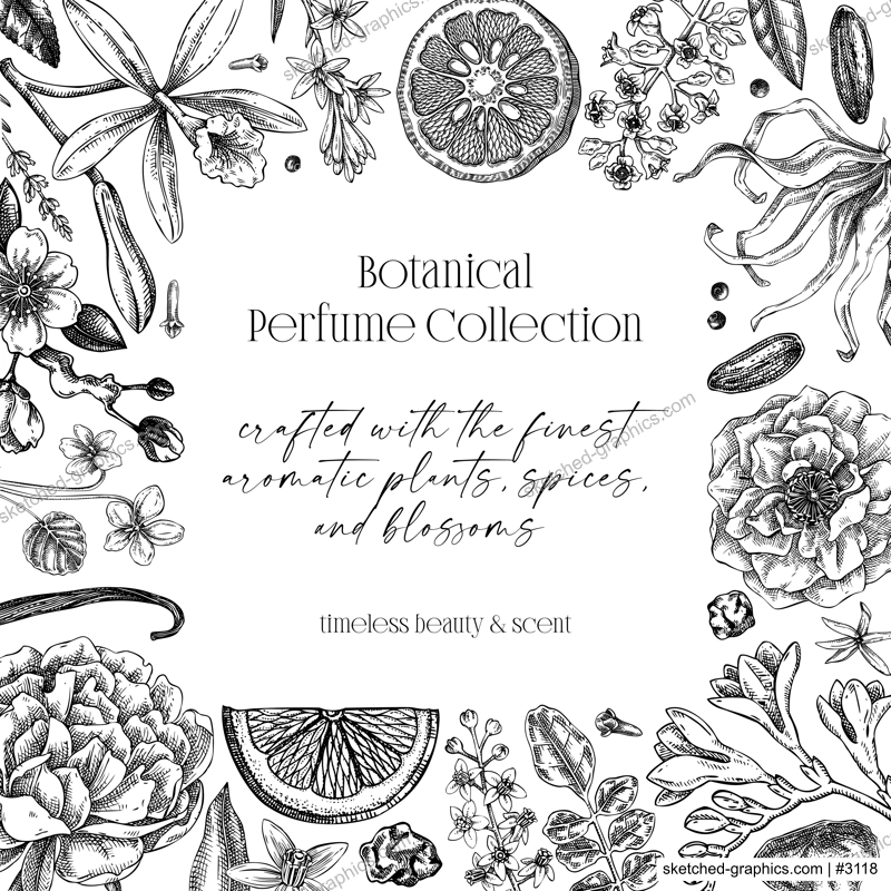 Perfumery ingredients frame design. Aromatic plants and flowers hand drawn vector illustration. Minimalist gift card, floral invitation template. NOT AI generated