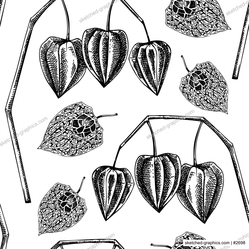 Autumn seamless pattern. Decorative plant sketch. Sketched physalis design. Hand-drawn botanical illustrations in vintage style. Dried plants backdrop. Thanksgiving background
