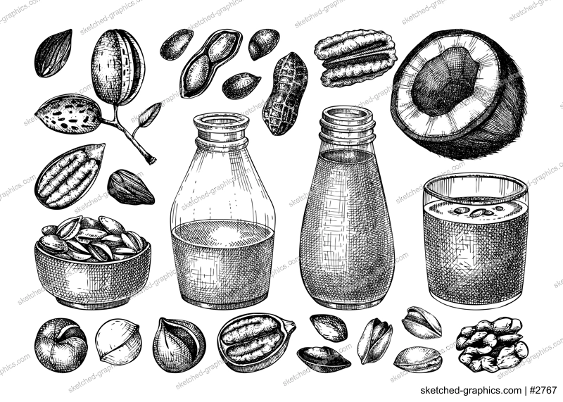Vegetarian food set. Dairy products design elements. Plant milk in glass, bottle, nuts in bowl, almond, pecan, coconut, pistachio sketches. Healthy drink, nut milk vector illustration for packaging