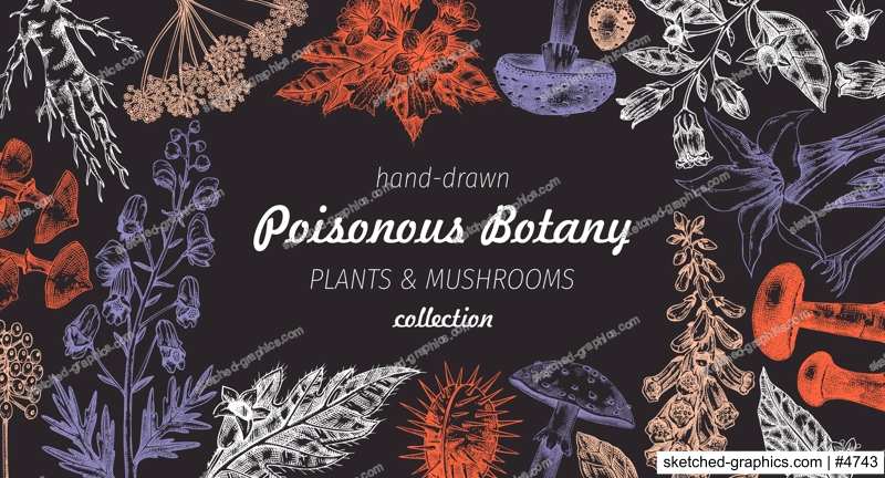 Poisonous plants frame design. Toxic mushrooms hand drawn vector illustration. Witch herbs, deadly fungi sketches on chalkboard. Vintage botanical banner. NOT AI generated