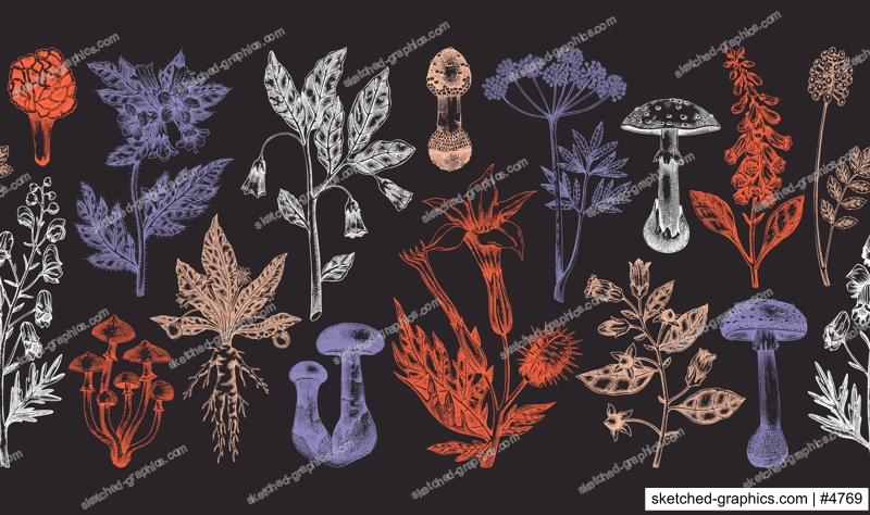 Poisonous plants seamless ribbon. Toxic mushrooms hand drawn vector illustration. Witch herbs vintage pattern. Deadly fungi background. NOT AI generated