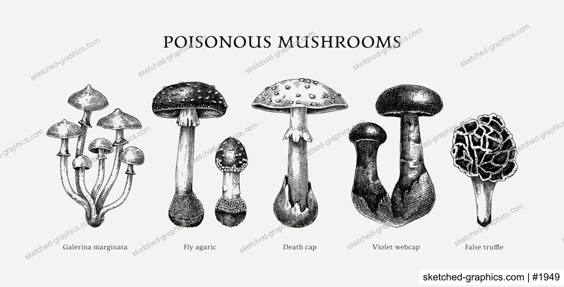 Poisonous mushrooms sketches set. Hand-drawn deadly fungus illustrations collection isolated on white. Poisonous forest plants design element