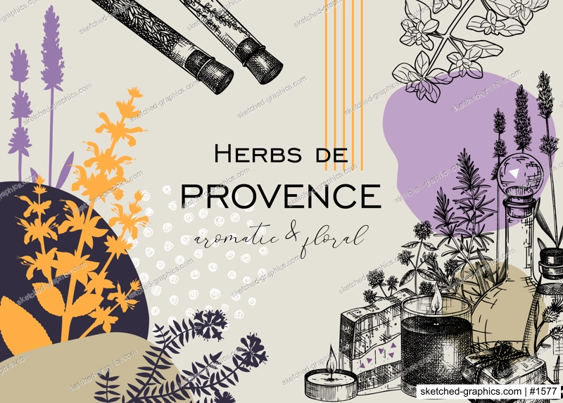Collage-style Provence herbs background. Herbal plant sketch, hand drawn vector illustrations. Artistic frame for cosmetics packaging, perfumery labels, soap or candle making. NOT AI generated