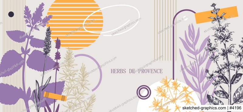 Collage-style Provence herbs background. Herbal plants hand-drawn vector illustrations. Artistic frame with sage, peppermint, rosemary, lavender sketches. NOT AI generated