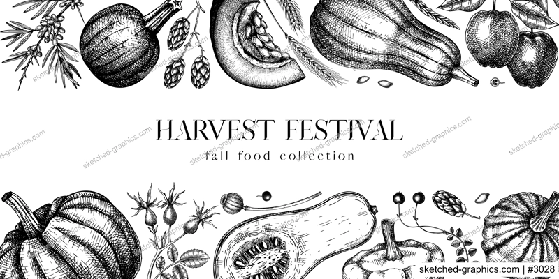 Sketched pumpkins banner black and white. Thanksgiving background. Autumn food drawings. Vector vegetables, butternut squash, marrow, pumpkin sketches. Fall harvest frame design