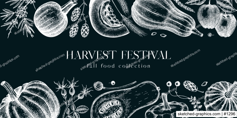 Sketched pumpkins banner on chalkboard. Thanksgiving day vintage design. Autumn plants and fruit drawings. Vector vegetables, butternut squash, marrow, pumpkin sketches. Fall harvest background