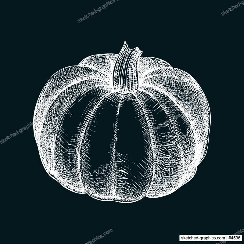 Pumpkin sketch. Autumn vegetable hand-drawn vector illustration on chalkboard. Vintage Thanksgiving day design element. NOT AI generated