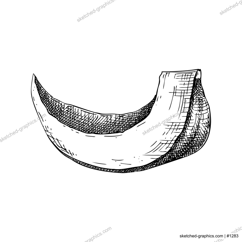 Pumpkin sketch. Vegetable hand-drawn vector illustration. Vintage Thanksgiving day design element. NOT AI generated