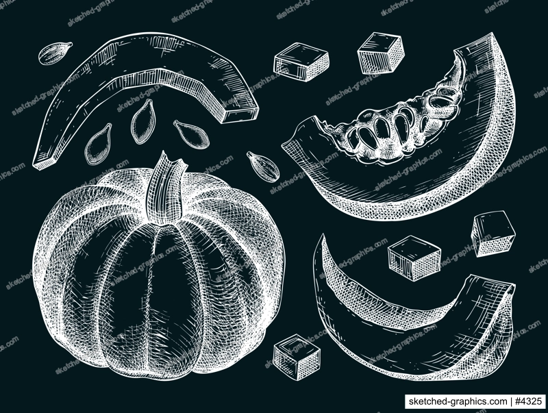 Pumpkin sketches set. Autumn vegetables hand-drawn vector illustrations. Vintage Thanksgiving day design elements on chalkboard. NOT AI generated