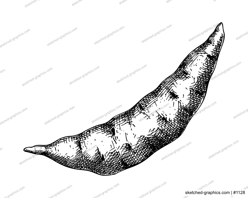 Purple Yam or Winged yam or Water yam sketches set. Vector illustration of Ube isolated on chalkboard. Filipino cuisine ingredient, vegetarian products template design elements 