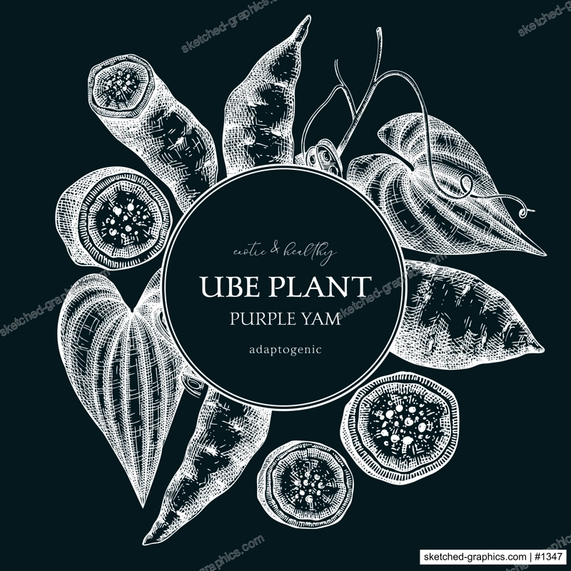 Agricultural plant, wreath design. Ube, Purple yam, root vegetable, vegetarian food background. Packaging, label, print template for plant based product. Vector illustration on chalkboard