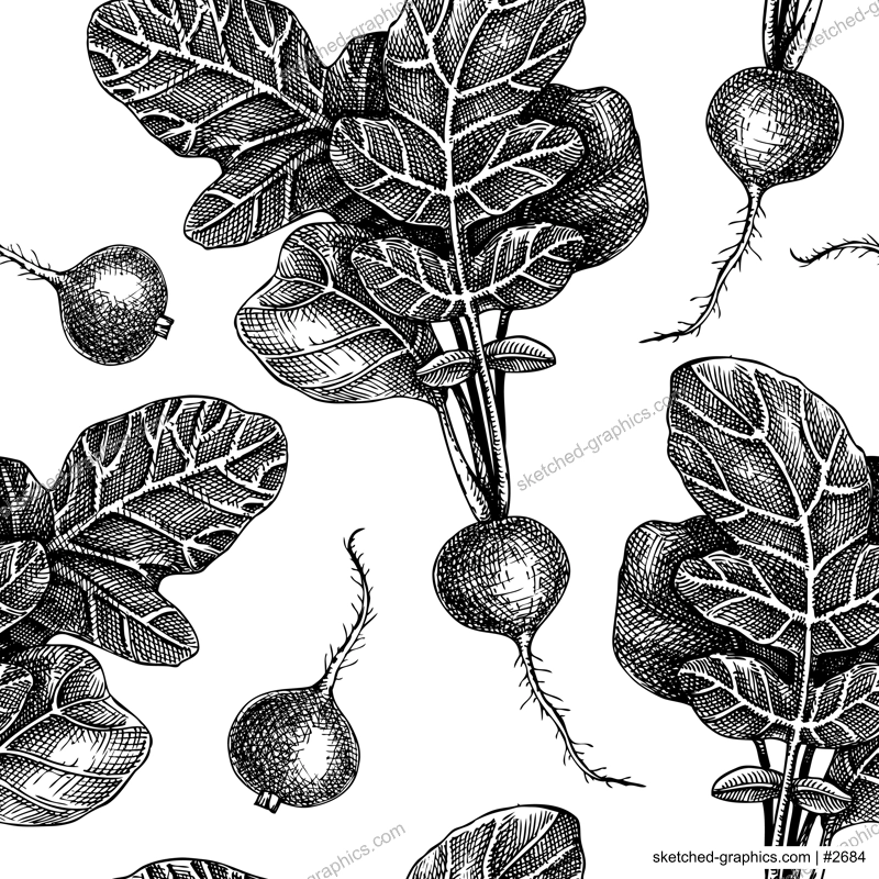 Fresh radish seamless pattern. Garden vegetable background. Root vegetable backdrop withhand-sketched food plants. Vector illustration of raw cultivated radish. For grocery, markets, packaging