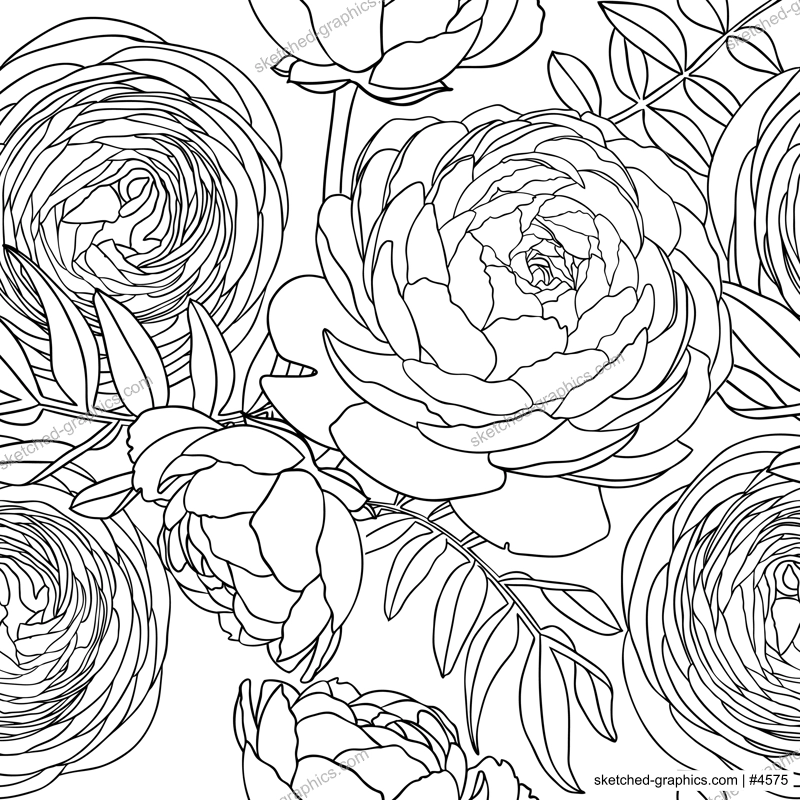 Line art ranunculus background. Abstract and minimalist illustrations with floral outlines. Ranunculus outlines seamless pattern for wall art, prints, wrapping paper, packaging, fabric.