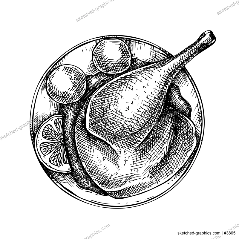 Roast duck with dumplings vintage drawing. German food sketch. Oktoberfest menu design. Hand-drawn food illustration for Octoberfest. Traditional German festival cuisine meal. Grilled duck sketch