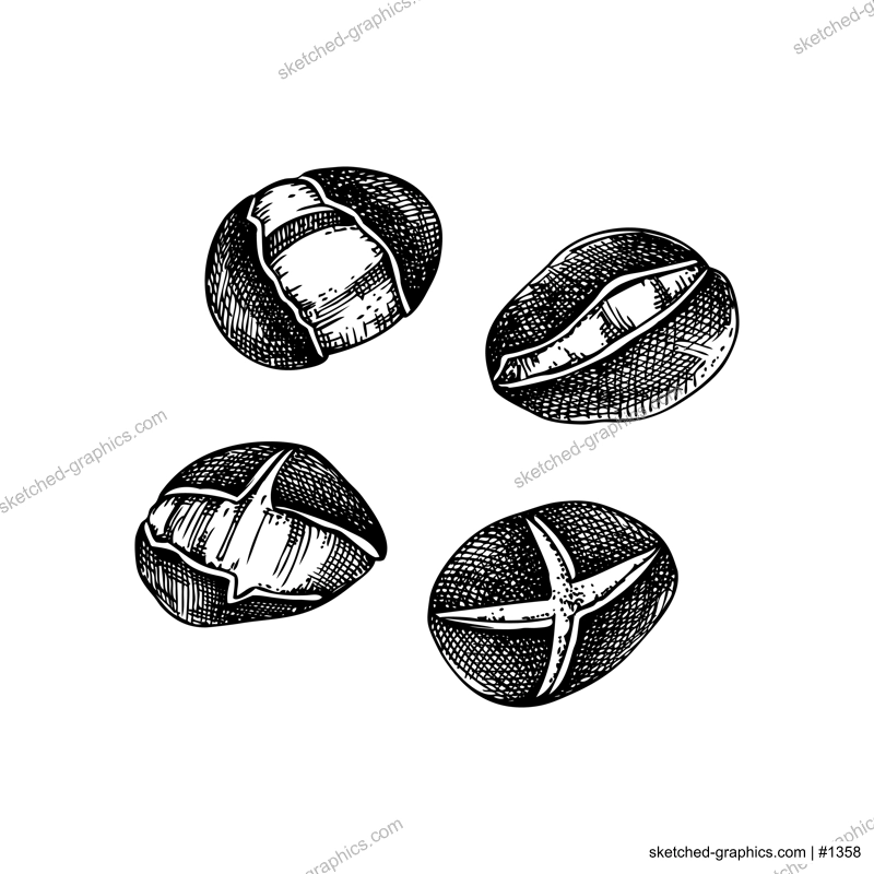 Roasted chestnut sketches set. Hand-drawn vector illustration. Traditional European Christmas market, fast food design element in engraved style for label and packaging.