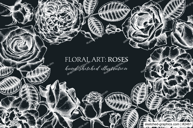 Hand-sketched rose frame on chalkboard. Wedding invitation or greeting card. Floral template. Vintage botanical design with rose flowers. Black and white floral illustration. Rosesin engraving style.