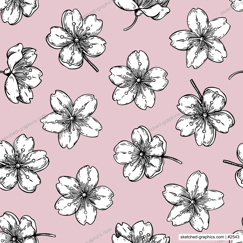 Sakura flowers pattern. Cherry blossom background. Blooming flower sketches. Floral seamless design. Hand-drawn vector illustration. NOT AI genereted