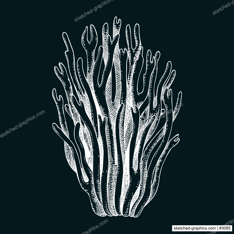 Scarlet elf cup mushroom sketch. Weird fungus illustration in vintage style. Hand-drawn forest plant. Scarlet cap - exotic mushroom drawing on chalkboard